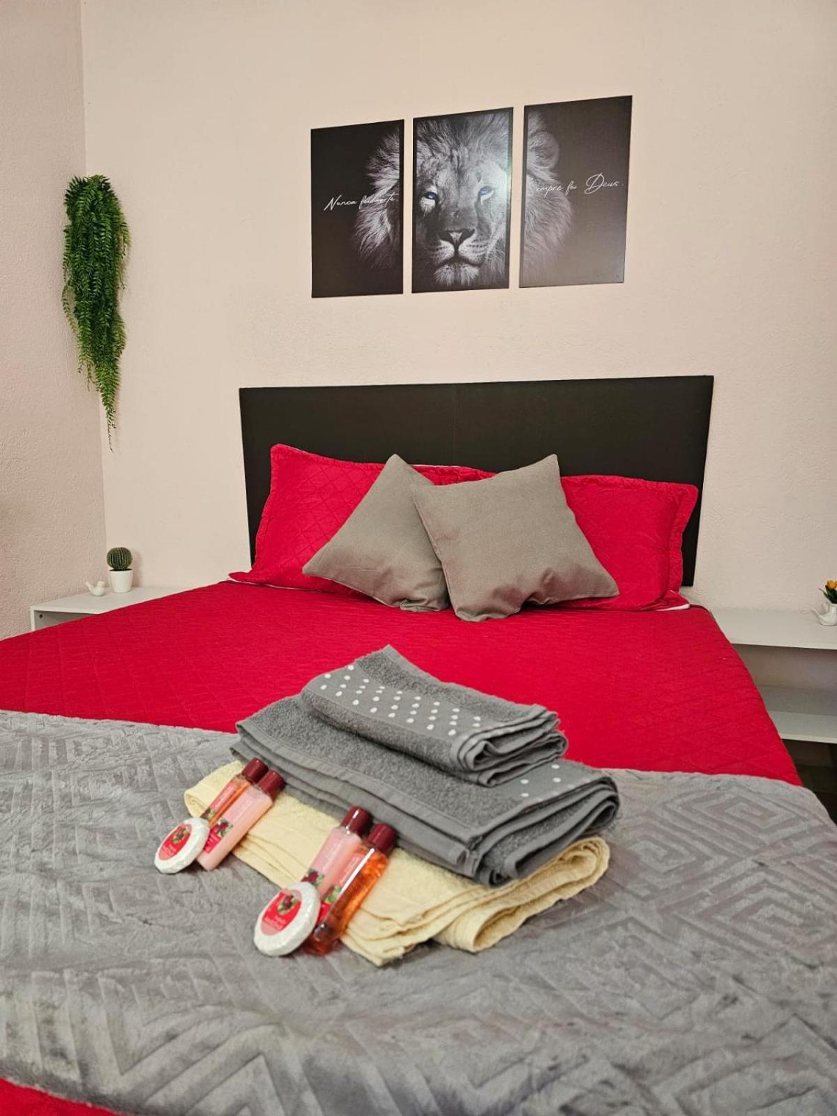 Kit Em Acesso Rodoanel Castelo Branco Apartment *